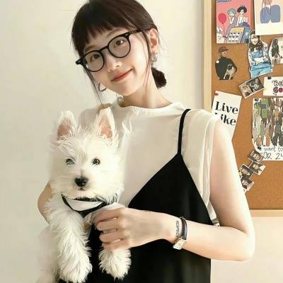 特工插班生
