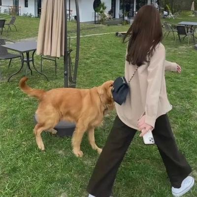 马路对面的房子